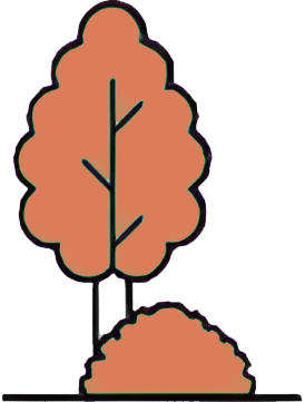 Tree_12 Tree_12