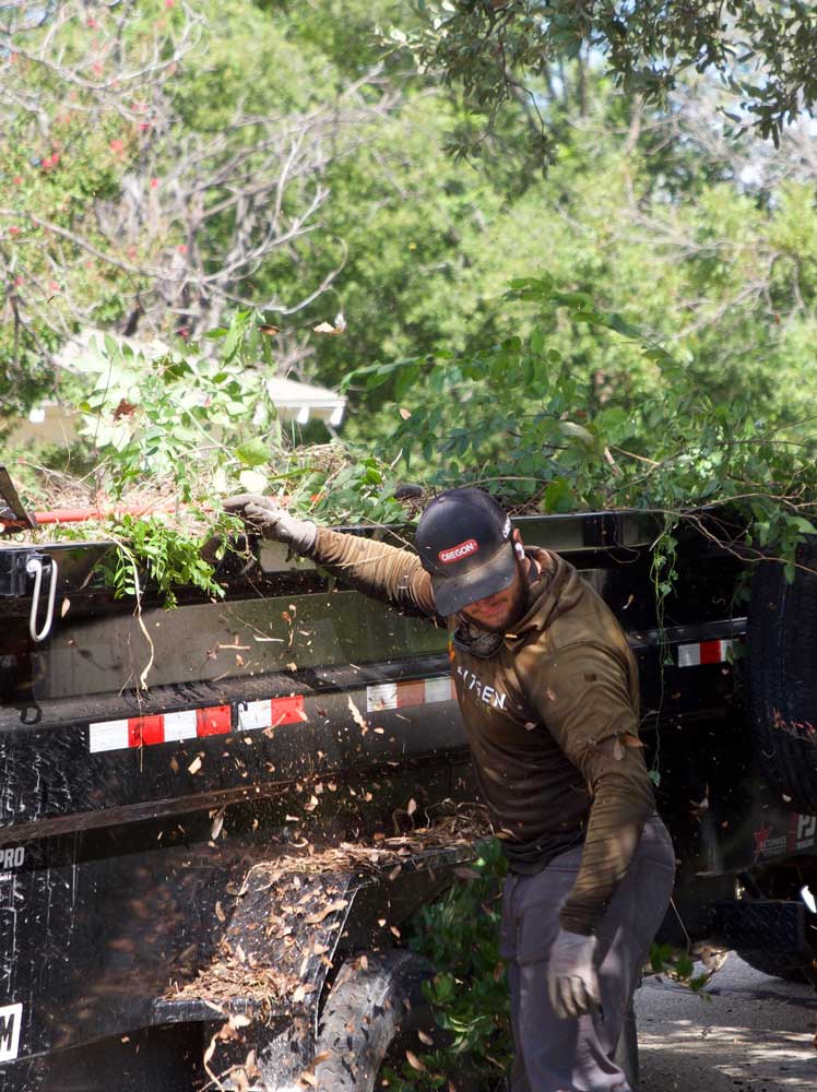 Tree_Service_Tab Tree_Service_Tab